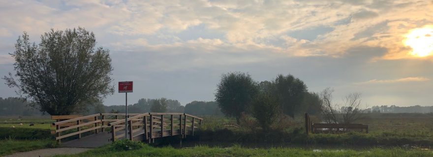 Aan de wandel met Annemarie Duijnstee, directeur HRM van de Universiteit Leiden